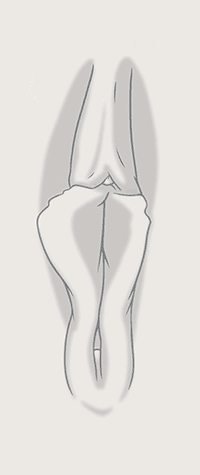 Location 01 Pressure 02.gif