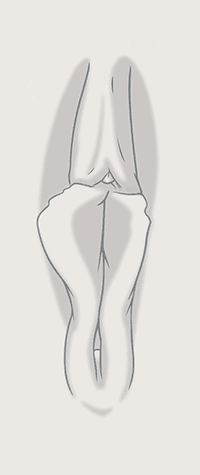 Location 02 Pressure 01.gif