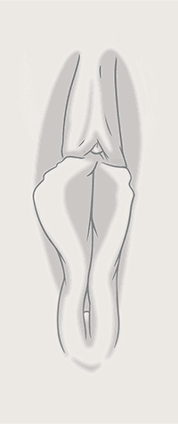 Location 02 Pressure 02.gif