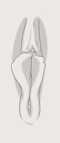 Location 02 Pressure 03.gif