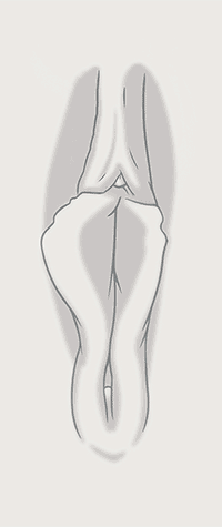 Location 03 Pressure 03.gif