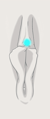 Location 04 Pressure 02.gif