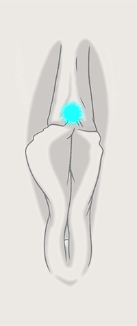 Location 04 Pressure 03.gif